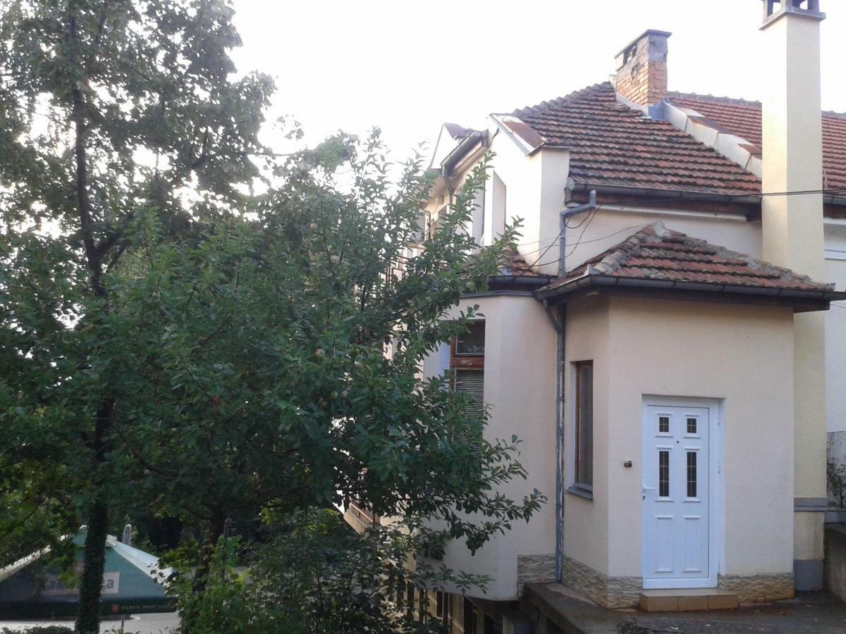 בלוגראדצ'יק Apartment Domino מראה חיצוני תמונה