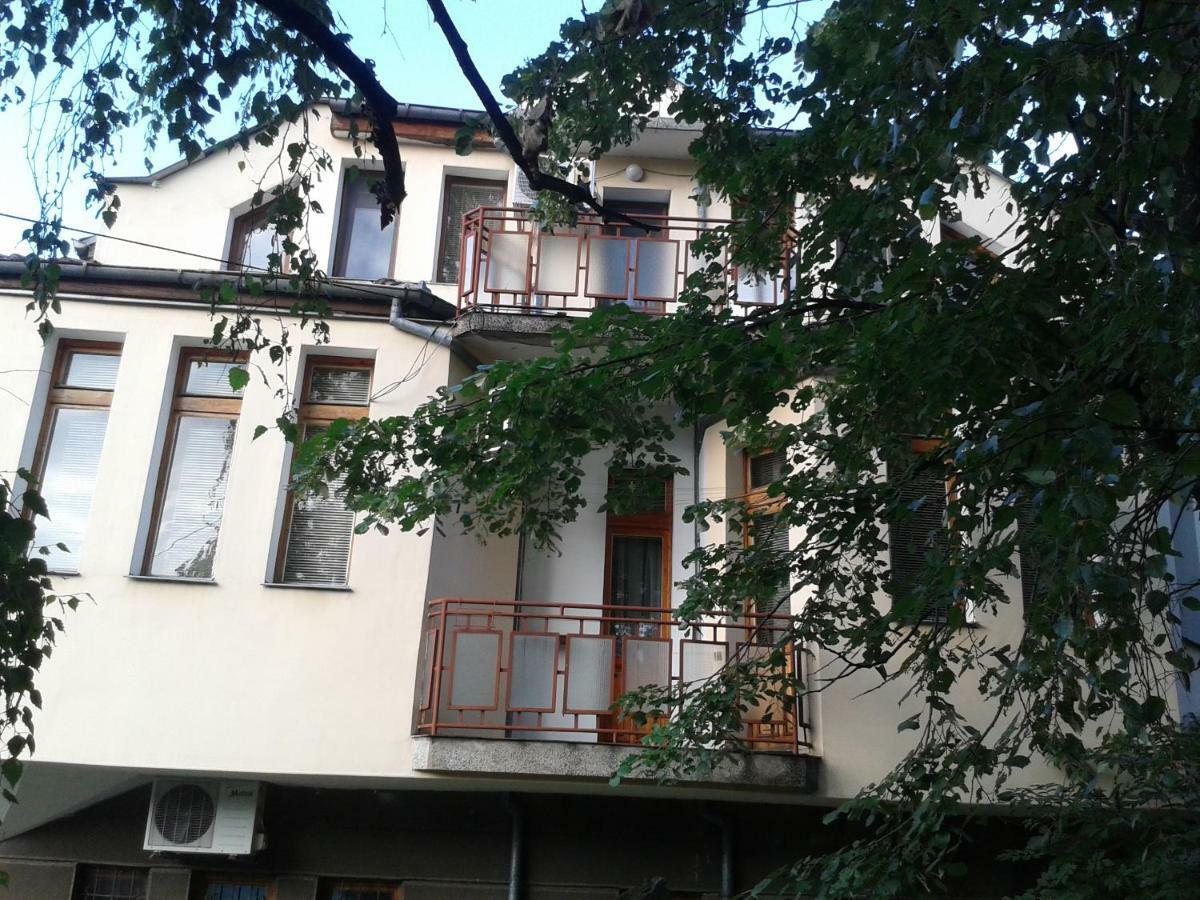 בלוגראדצ'יק Apartment Domino מראה חיצוני תמונה